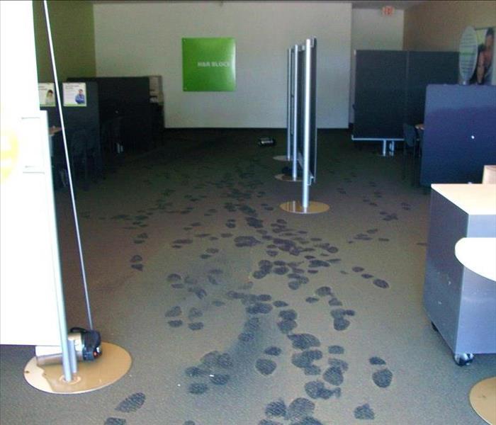 Office area covered in muddy water; foot prints left in the muddy water
