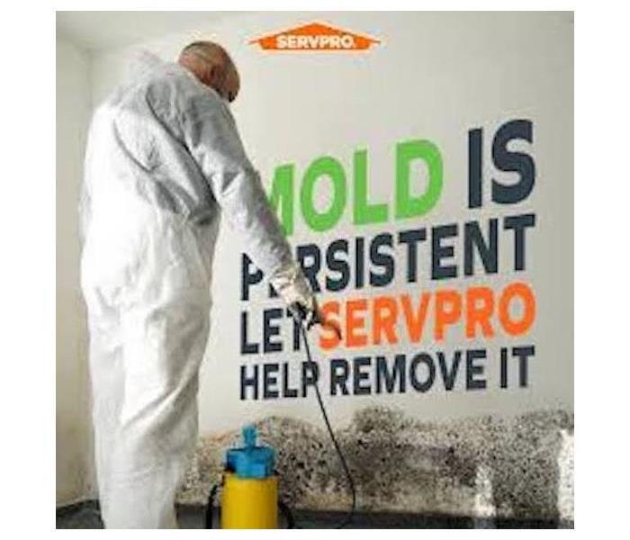SERVPRO of Bloomington water and mold